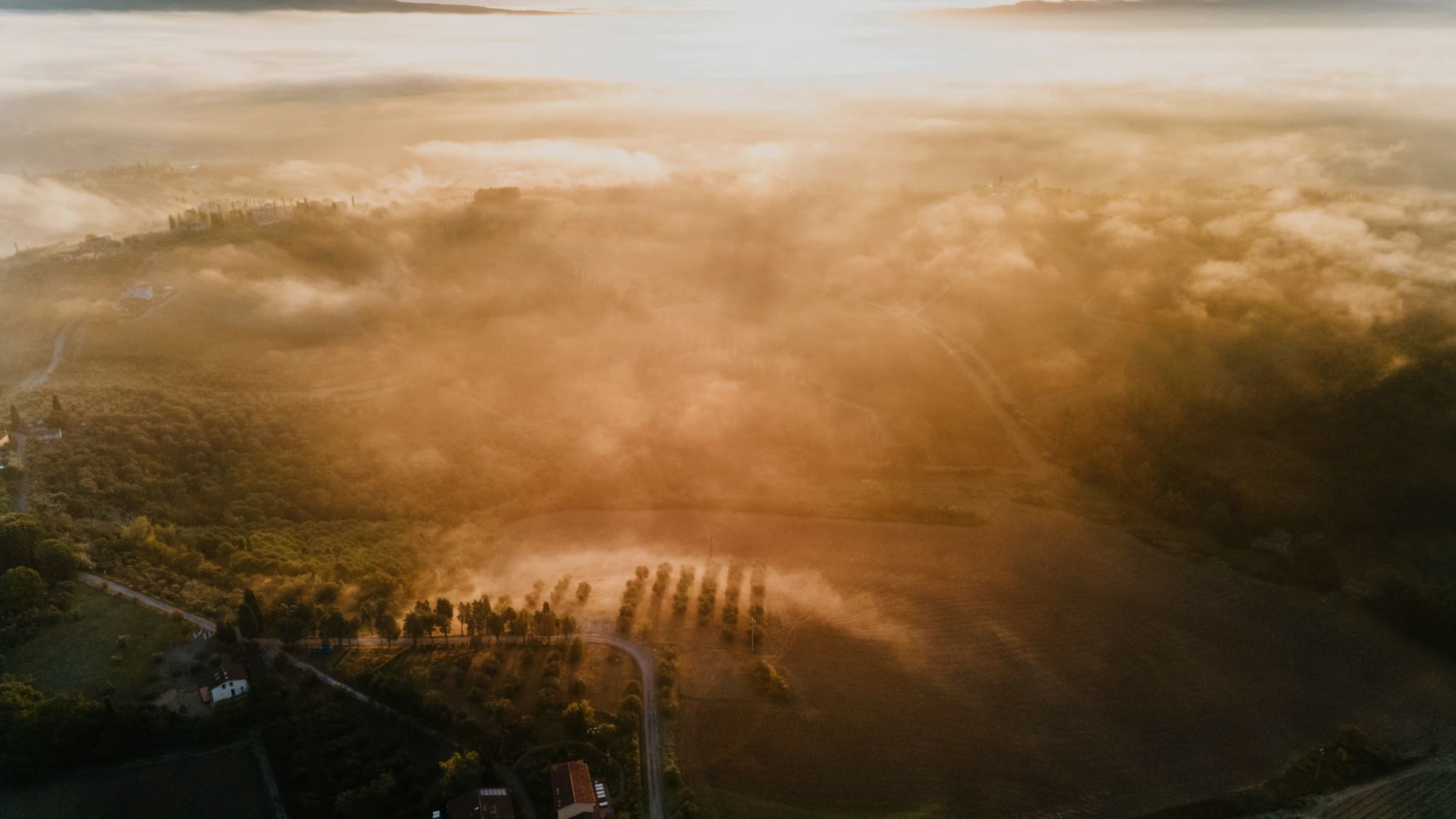 Terraced organic fields under a rising sun