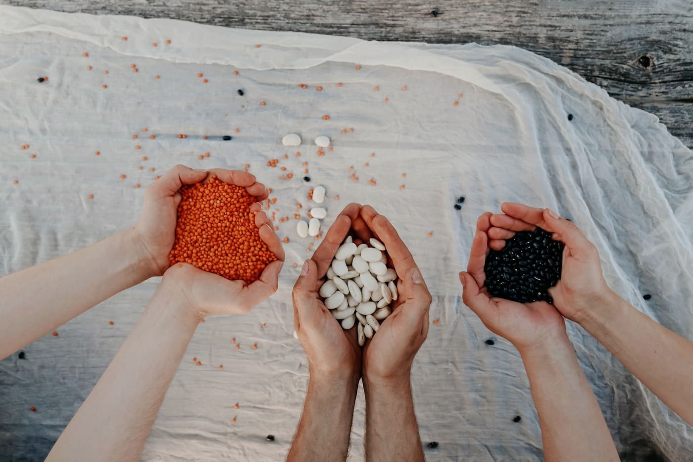 Organic living scene with warm natural light — The Unseen Foundation: How Healthy Soil in Mandsaur Nurtures Your NityaTattva Food